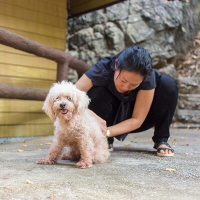 Cities in These 7 States Have the Highest Flea and Tick Populations