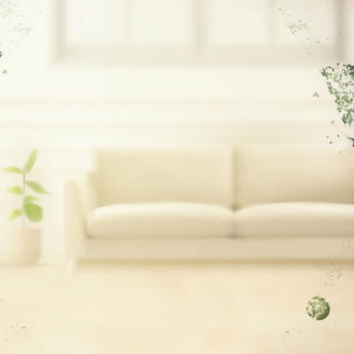 Top 5 Germ-Infested Places at Home