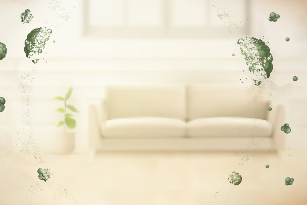 Top 5 Germ-Infested Places at Home