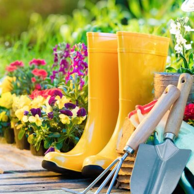 8 Yard Work Tools That Save Time and Effort