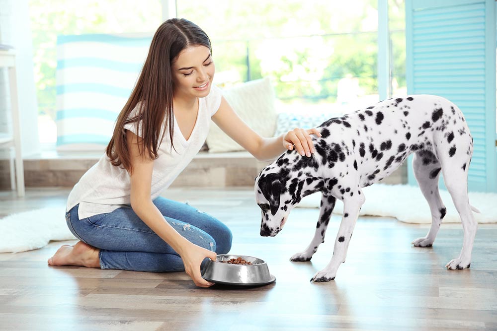 9 Dog Feeding Tips for Pet Parents